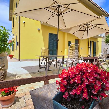 B&B la casa del vino Tollo Exterior foto